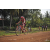 Team 16 / Raid Amazones Cambodge 2018 - J5 VTT