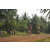 Team 03 / Raid Amazones Cambodge 2018 - J5 VTT