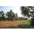 Team 03 / Raid Amazones Cambodge 2018 - J5 VTT