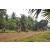 Team 110 / Raid Amazones Cambodge 2018 - J5 VTT