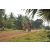 Team 02 / Raid Amazones Cambodge 2018 - J5 VTT