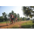 Team 02 / Raid Amazones Cambodge 2018 - J5 VTT