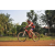 Team 41 / Raid Amazones Cambodge 2018 - J5 VTT