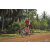 Team 101 / Raid Amazones Cambodge 2018 - J5 VTT