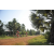 Team 101 / Raid Amazones Cambodge 2018 - J5 VTT