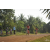 Team 13 / Raid Amazones Cambodge 2018 - J5 VTT