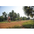 Team 13 / Raid Amazones Cambodge 2018 - J5 VTT