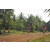 Team 29 / Raid Amazones Cambodge 2018 - J5 VTT