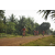 Team 38 / Raid Amazones Cambodge 2018 - J5 VTT