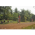 Team 40 / Raid Amazones Cambodge 2018 - J5 VTT