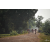 Team 15 / Raid Amazones Cambodge 2018 - J5 VTT