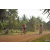 Team 07 / Raid Amazones Cambodge 2018 - J5 VTT
