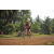 Team 39 / Raid Amazones Cambodge 2018 - J5 VTT