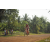 Team 39 / Raid Amazones Cambodge 2018 - J5 VTT