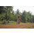 Team 20 / Raid Amazones Cambodge 2018 - J5 VTT