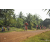 Team 20 / Raid Amazones Cambodge 2018 - J5 VTT
