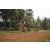 Team 14 / Raid Amazones Cambodge 2018 - J5 VTT