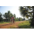 Team 21 / Raid Amazones Cambodge 2018 - J5 VTT
