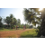 Team 43 / Raid Amazones Cambodge 2018 - J5 VTT