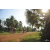 Team 120 / Raid Amazones Cambodge 2018 - J5 VTT