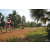 Team 120 / Raid Amazones Cambodge 2018 - J5 VTT