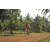 Team 120 / Raid Amazones Cambodge 2018 - J5 VTT