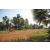 Team 120 / Raid Amazones Cambodge 2018 - J5 VTT