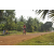Team 19 / Raid Amazones Cambodge 2018 - J5 VTT