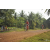 Team 19 / Raid Amazones Cambodge 2018 - J5 VTT