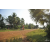 Team 19 / Raid Amazones Cambodge 2018 - J5 VTT