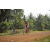 Team 160 / Raid Amazones Cambodge 2018 - J5 VTT