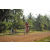 Team 160 / Raid Amazones Cambodge 2018 - J5 VTT