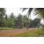Team 24 / Raid Amazones Cambodge 2018 - J5 VTT