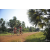 Team 24 / Raid Amazones Cambodge 2018 - J5 VTT