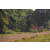 Team 47 / Raid Amazones Cambodge 2018 - J5 VTT