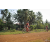 Team 47 / Raid Amazones Cambodge 2018 - J5 VTT