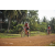 Team 35 / Raid Amazones Cambodge 2018 - J5 VTT