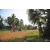 Team 45 / Raid Amazones Cambodge 2018 - J5 VTT