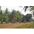Team 102 / Raid Amazones Cambodge 2018 - J5 VTT