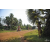Team 102 / Raid Amazones Cambodge 2018 - J5 VTT