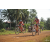 Team 102 / Raid Amazones Cambodge 2018 - J5 VTT