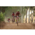 Team 110 / Raid Amazones Cambodge 2018 - J5 VTT