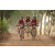 Team 110 / Raid Amazones Cambodge 2018 - J5 VTT