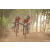Team 121 / Raid Amazones Cambodge 2018 - J5 VTT