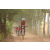 Team 119 / Raid Amazones Cambodge 2018 - J5 VTT