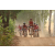 Team 122 / Raid Amazones Cambodge 2018 - J5 VTT