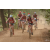 Team 103 / Raid Amazones Cambodge 2018 - J5 VTT