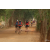 Team 135 / Raid Amazones Cambodge 2018 - J5 VTT