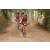 Team 40 / Raid Amazones Cambodge 2018 - J5 VTT