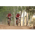 Team 42 / Raid Amazones Cambodge 2018 - J5 VTT